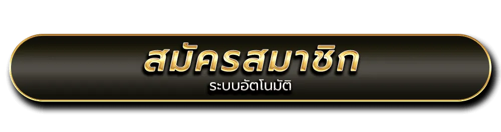 ปุ่มregister